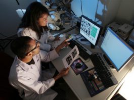 lab and scientists