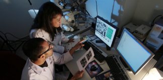 lab and scientists