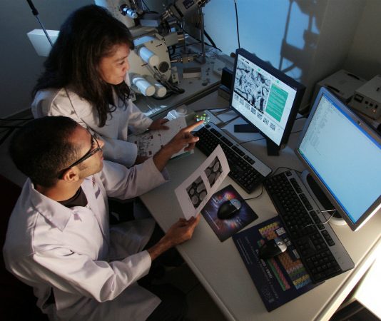 lab and scientists